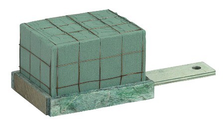 41561